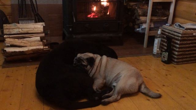 Гармония. Смотреть со звуком смотреть онлайн