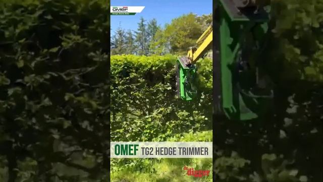 OMEF hedge cutter