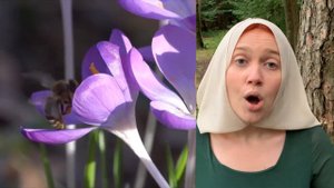 Francesco Landini (~1325–1397) – ECCO LA PRIMAVERA («Весна пришла»). By Glazunchik_a