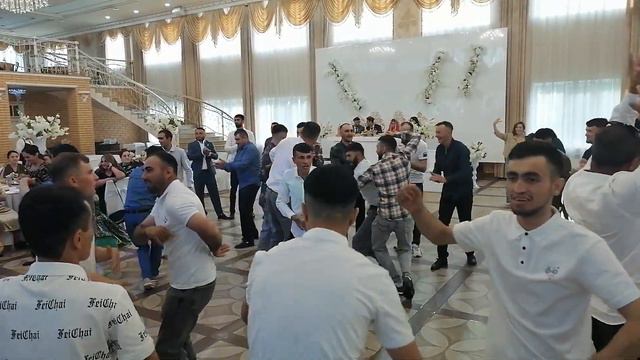 Туй дар Новосибирск смотреть онлайн