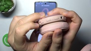 How to Hard Reset JBL Live 460NC – Reset All Settings