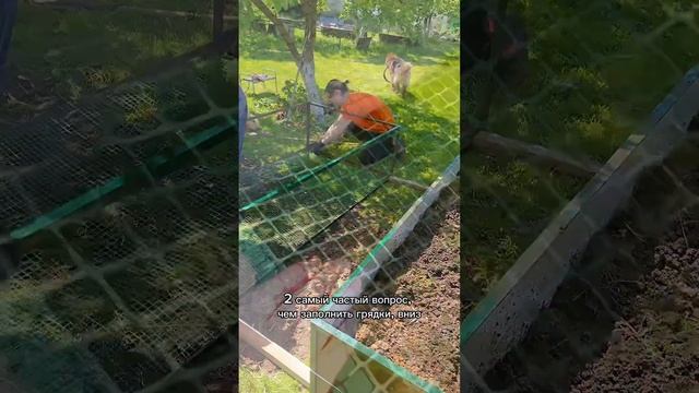 Почему мы выбрали высокие грядки из шифера? Читайте в закрепленном комментарии под видео. #дача смотреть онлайн