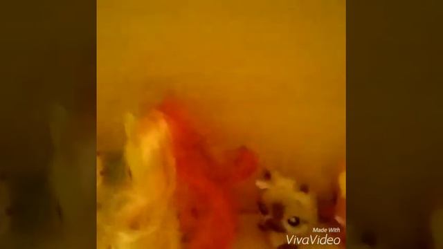 Клип доброта (снимала как могла):) смотреть онлайн