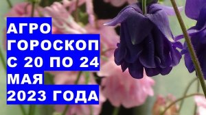 Агрогороскоп с 20 по 24 мая 2023 года. Агрогороскоп з 20 по 24 травня 2023 року