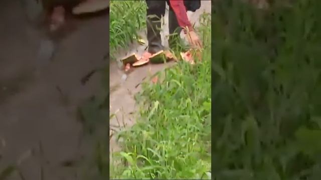 20 октября 2023 г. смотреть онлайн