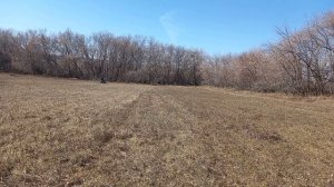 Боронование сенокосов 2022.