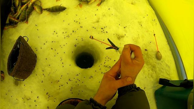 Хороший клев окуня на водоеме чебачьем смотреть онлайн