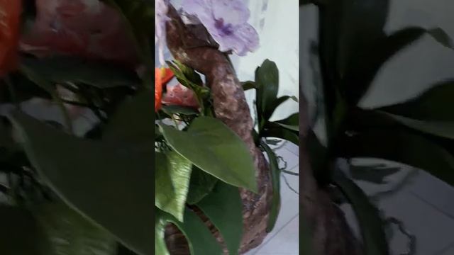 Поделки - рукоделки смотреть онлайн