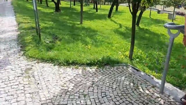 Как убирают какашки за собаками в Праге