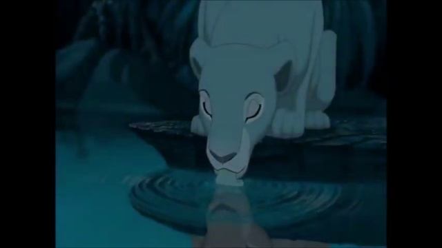 Король лев восточные сказки