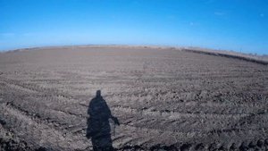Охота на Зайца в Краснодарском крае 2021г - 3.