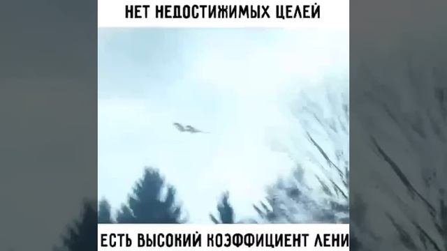 белая ворона