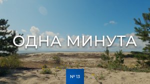 № 13 / Одна минута / Дюны Куршской косы / Лето / Калининградская область