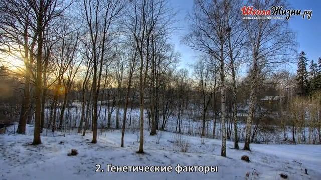 Если Вам Нехорошо... Как Справиться с Весенними Обострениями