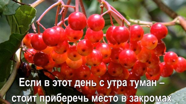 11 августа народный праздник КАЛИННИК. Калинов день. Приметы и традиции смотреть онлайн