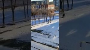 Снегокат русак