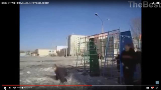 Ло? Пид?!!!!!!!!!!!! смотреть онлайн