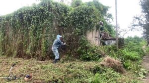 Abandoned house turned into a wonderful place for a father with 2 polio legs and his son