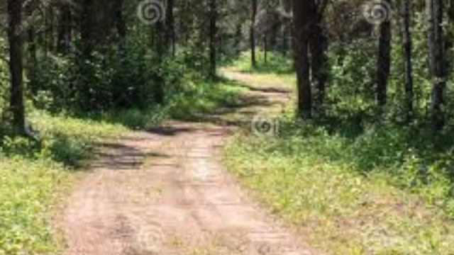 IV - The Winding Trail смотреть онлайн