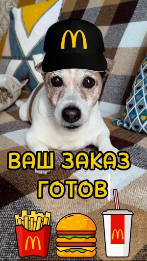 Утро собачника 😂 Тёпленький подарочек с пылу с жару 😂