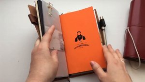 ЕЖЕДНЕВНИК НА КОЛЬЦАХ или ЕЖЕДНЕВНИК НА РЕЗИНКАХ - КАКОЙ ВЫБРАТЬ, ОБЗОР ПЛЮСОВ И МИНУСОВ
