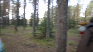 ВологодЭтноЭксп, день 16. Опоки и Великий Устюг