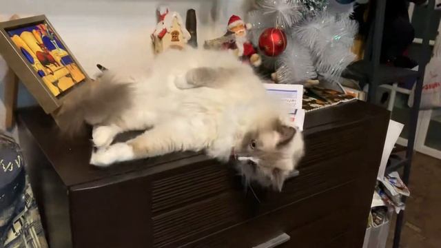 Савелий. смотреть онлайн