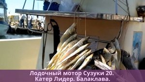Лодочный мотор Сузуки 20. Катер Лидер. ДВИГАТЕЛИ ПРОГРЕССА в Балаклаве.