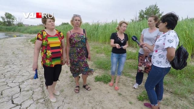 Гибнет бесхозный пруд  рядом с аэропортом Волгограда