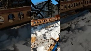 Пилорама гризли запись 29.10.16