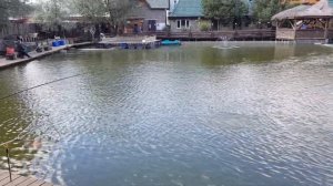 УСАДЬБА СОКОЛИНОЕ ГНЕЗДО