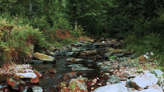 Самая красивая и нежная музыка для сердца и сосудов. Музыка Эдгара Туниянца. смотреть онлайн