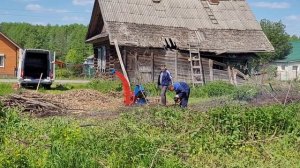 Как утилизировать ветки и деревья на дачном участке?