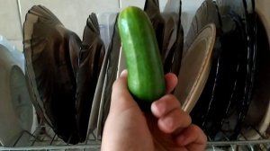 Кошка испугалась огурца(нет)