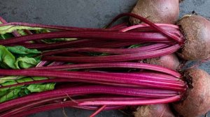 Врачи предупреждают! Свекла противопоказана людям с... Чем опасна свекла?