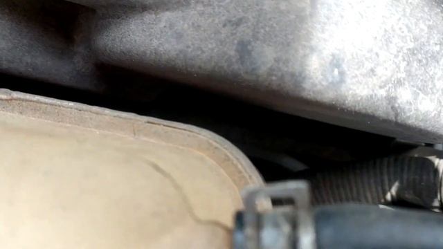 Шелестит ролик смотреть онлайн