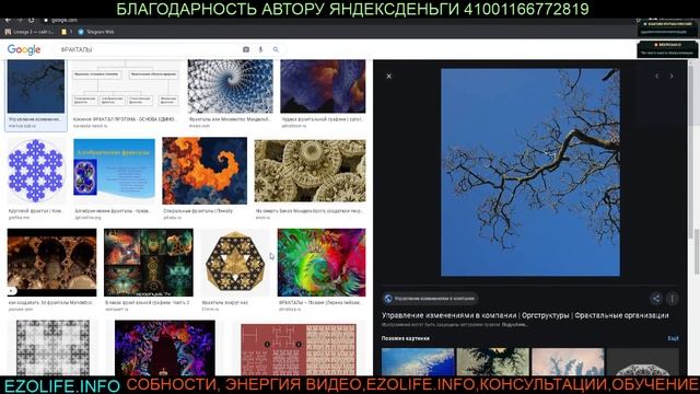 МАТЕМАТИКА МАГИЯ РЭБ МОЗГ ФЁДОРОВ СТРОСС ЗЕРКАЛА УПРАЖНЕНИЯ ТЕЛЕПАТИЯ