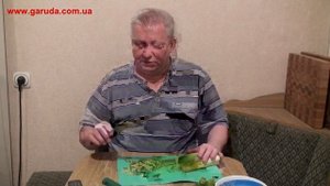 Уха из головы и плавников щуки!