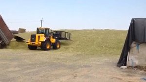 JCB 434S AGRI (HL) на закладке силоса