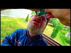 НА Дачу Выхаживаться ОТ Вина / МЧС Сухпай Распаковка