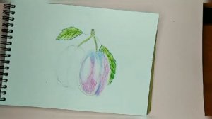 Рисуем сливы цветными карандашами ? скетч мастер класс  ?