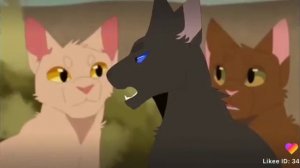 Коты воители клип:песня Вэриана/Рапунцель новая история❤