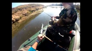 Ловля сома на силикон в отвес.