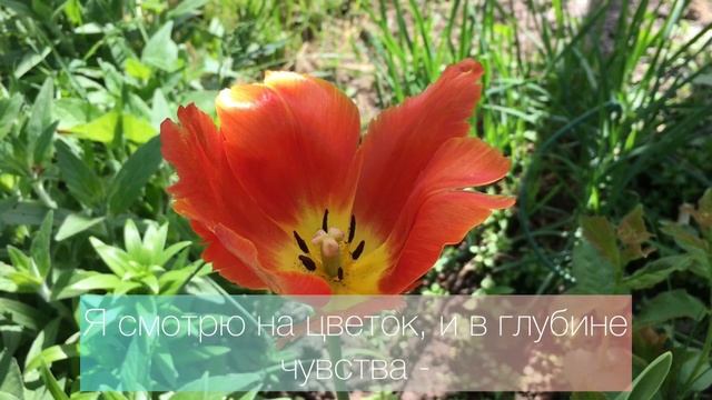 Все есть - сознание. Экхарт Толле