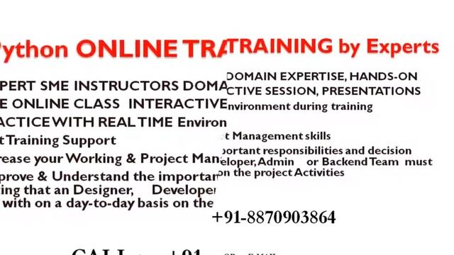 Python Online Training and Support
