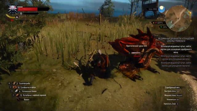The Witcher 3: Wild Hunt - как быстро победить Виверну смотреть онлайн
