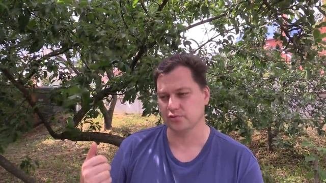 Заболевания - понимание откуда берутся и как лечить их (часть 2)