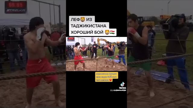 Бой лев из таджикистана #mamaimacriminal #хабибнурмагомедов #исламмахачев #бой_мастера #бойка