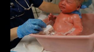 Как купать новорождённого