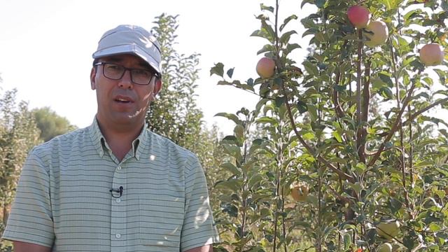 Пинк леди олма нави ҳақида / Pink ledi olma navi смотреть онлайн